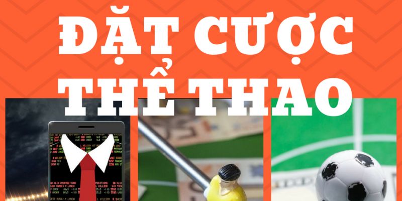 Bí kíp cá cược hiệu quả